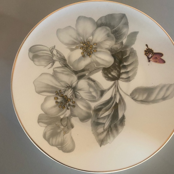 Teacup & Saucer - Picture 3 of 3